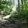 Romantische Mühlen im Schwäbischen Wald
